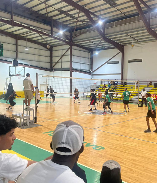volleyball